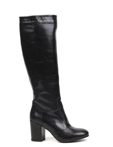 STIVALE 2092