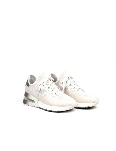 Ash knit sneakers online