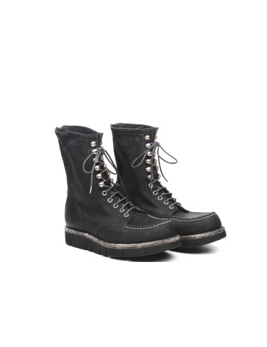 SHOTO POLACCO 51558