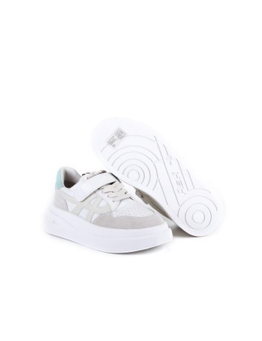ASH SNEAKER INDY