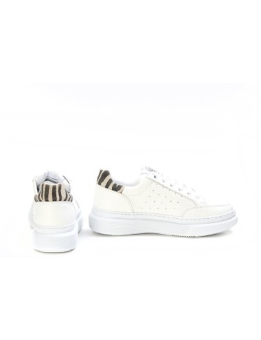 SNEAKER 2545