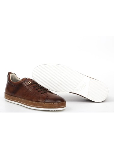 SNEAKER 1412