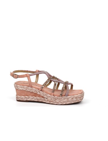 WEDGE V241012