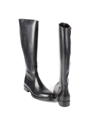 STIVALE D1517