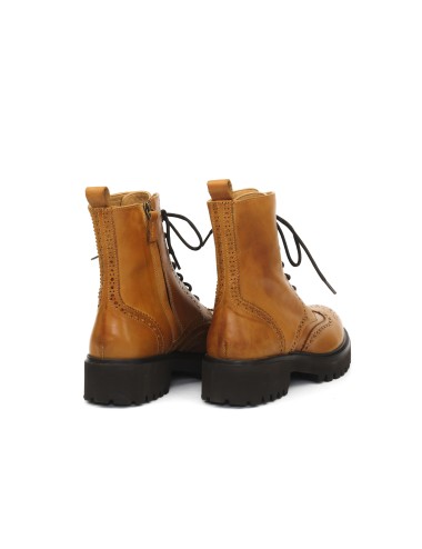 POLACCO GD782