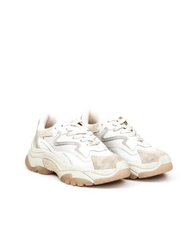 SNEAKER ADDICT