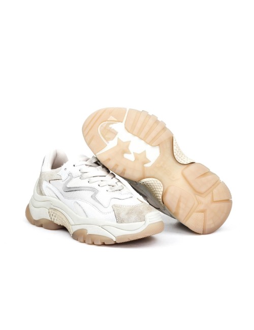 SNEAKER ADDICT