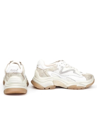 SNEAKER ADDICT