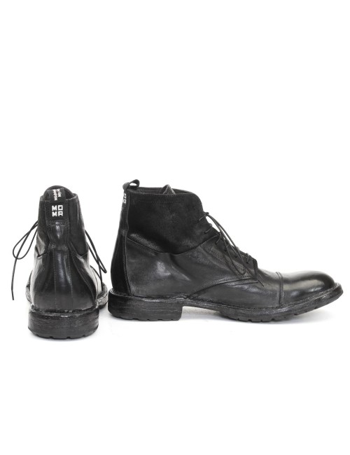 POLACCO 55402B-CUT
