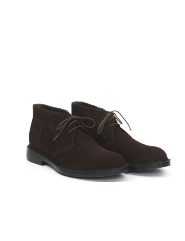 POLACCO 7565