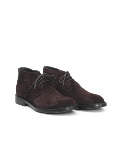 POLACCO 7565