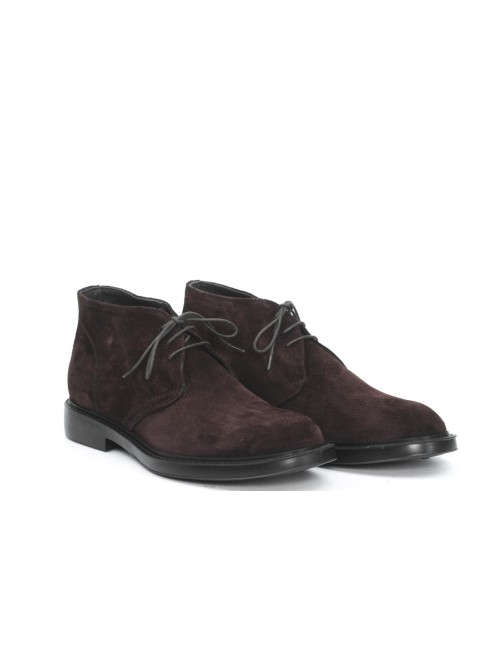 POLACCO 7565
