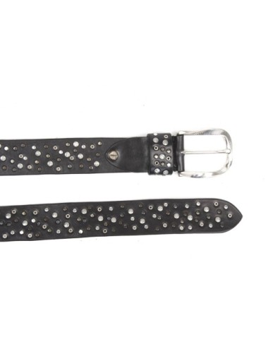 BELT PV2222