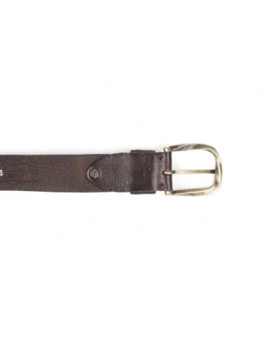 BELT PV22223