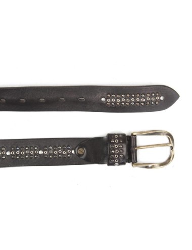 BELT PV2221
