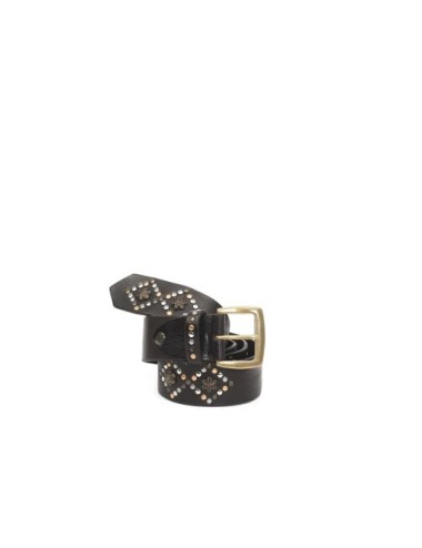 BELT PV2181