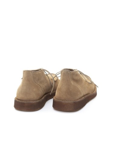 POLACCO 18500A
