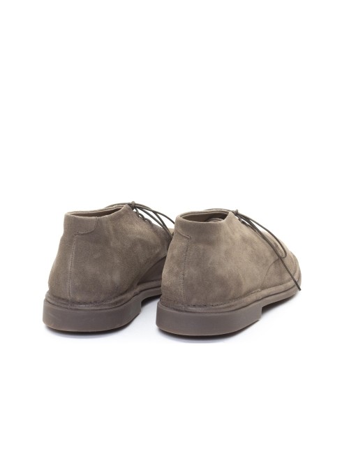 POLACCO 18534A